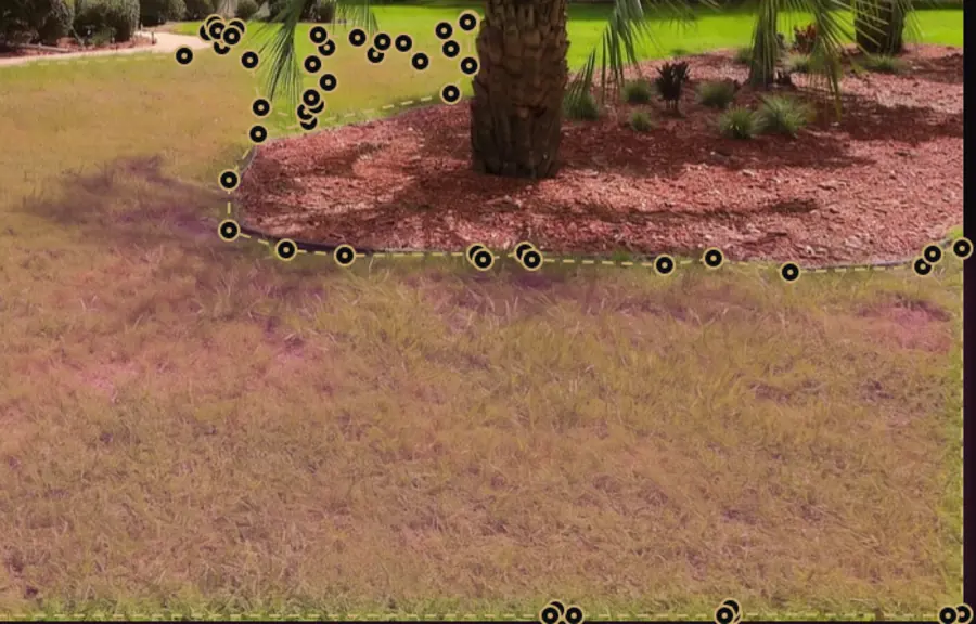 AI Select masking view with selected lawn and landscape area